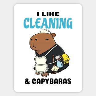 I Like Cleaning and Capybaras Sticker